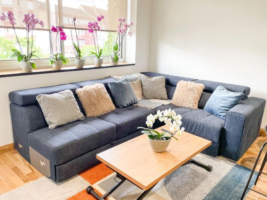 Appartement Cote Jardin - Centre Alencon Bagian luar foto